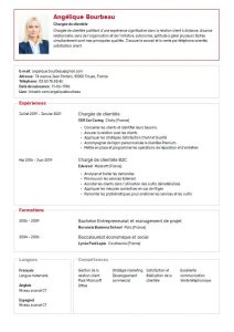 modeles de cv  telecharger pour votre emploi ideal onlinecv